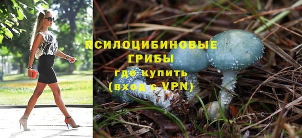 молекула духа Абинск
